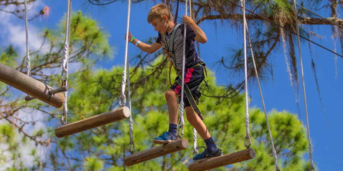 MIND BLOWING TREETOP ADVENTURES TO TRY THIS FALL IN ONTARIO