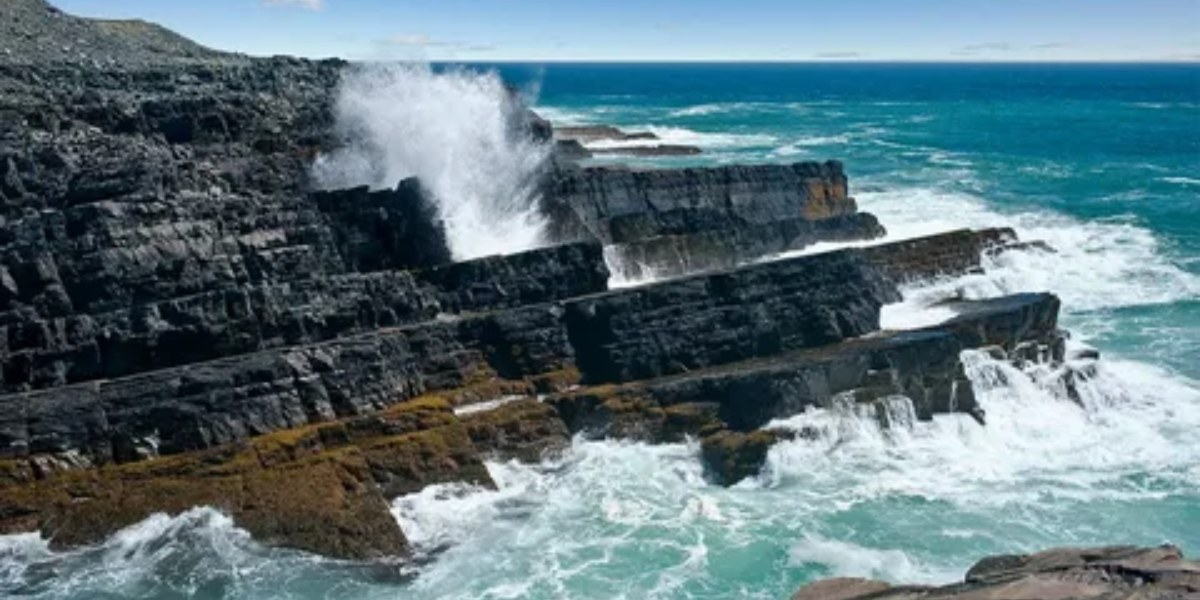 Mistaken Point In Newfoundland Named UNESCO World Heritage Site