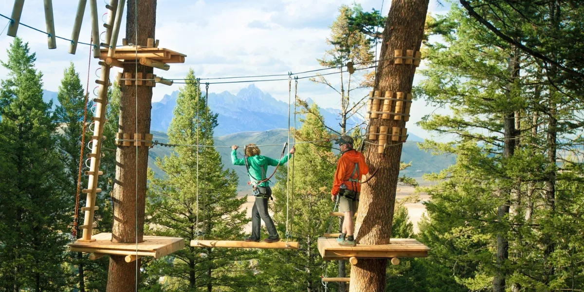 MIND BLOWING TREETOP ADVENTURES TO TRY THIS FALL IN ONTARIO
